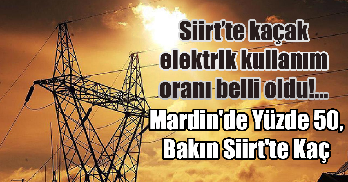 Siirt’te kaçak elektrik kullanım oranı belli oldu!… Mardin’de Yüzde 50, Bakın Siirt’te Kaç