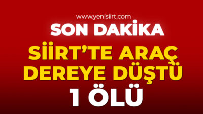 Siirt’te Araç Dereye Düştü: 1 Ölü Siirt’te meydana gelen trafik kazasında bir kişi yaşamını yitirdi.