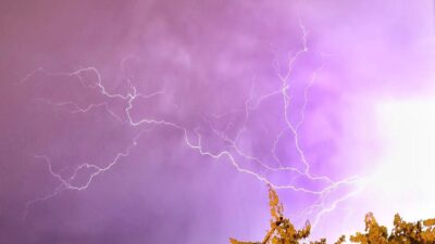 Siirt’te iklim değişikliği sonuçları görülmeye devam ediyor.
