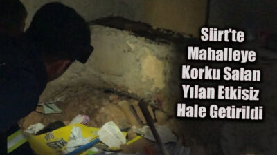 Siirt’te mahallede korku salan yılan vurularak etkisiz hale getirildi.
