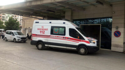 Siirt'in tarlada çalıştığı esnada yılanın ısırdığı kişi hastaneye kaldırıldı.