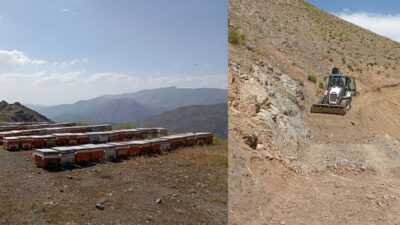Siirt Valisi Talimat Verdi Yayla Yolu Açıldı Siirt Valiliği’nin destekleriyle "Siirt Arıcılığını ve Arı Ürünlerini Geliştirme Projesi"