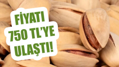 10 Ayda Fiyatını İkiye Katladı! Siirt Fıstığı Fiyatı 750 TL’yi Buldu Siirt fıstığının fiyatı yükselmeye devam ediyor. Kavlak fıstığın kilosu 750