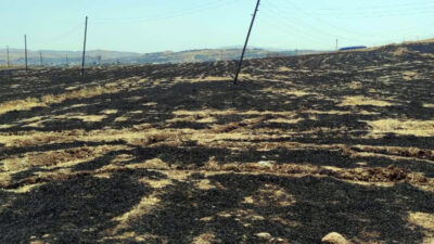 Siirt’te bugün saat 11:30 sıralarında Siirt İl Jandarma Komutanlığı sorumluluk