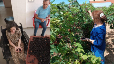 Engelli bireylerin hasat sevinci. Engelli bireyler kendi dikip bakımını yaptıkları