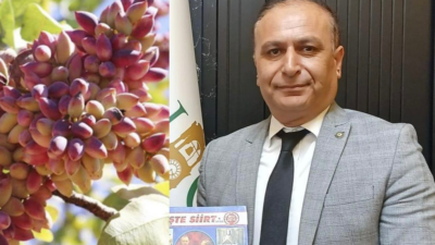 Sert kabuğu kapalı olarak toplanan Siirt fıstığının pense ile açılarak