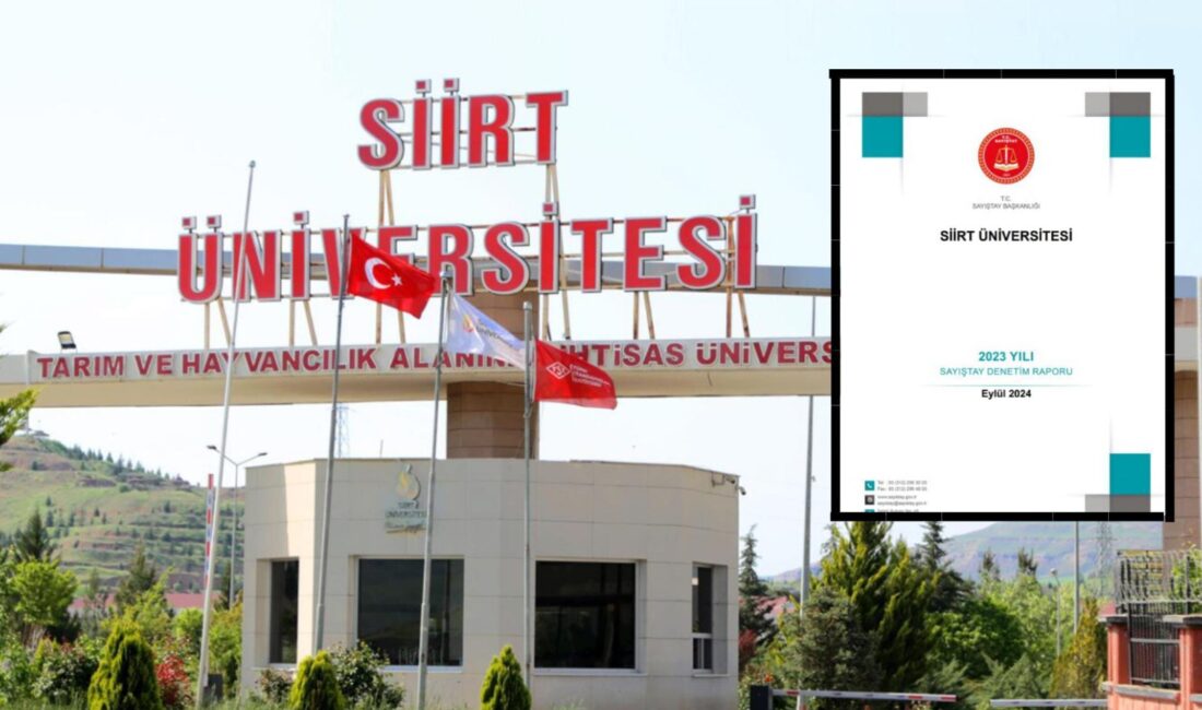 Sayıştay, Siirt Üniversitesinin özel