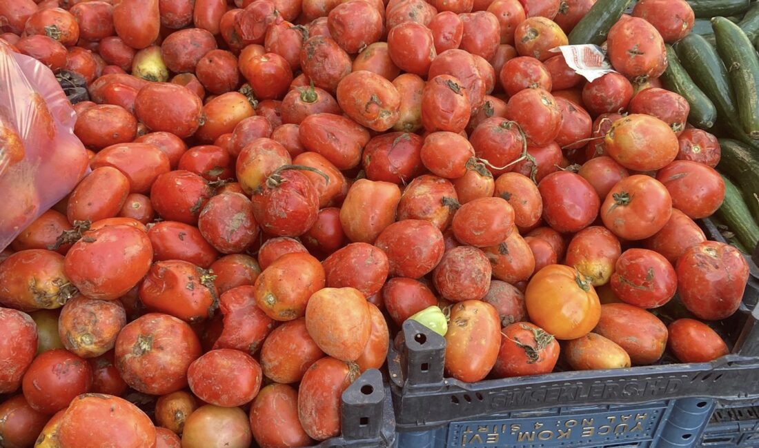 Fırsatçı ve aç gözlü