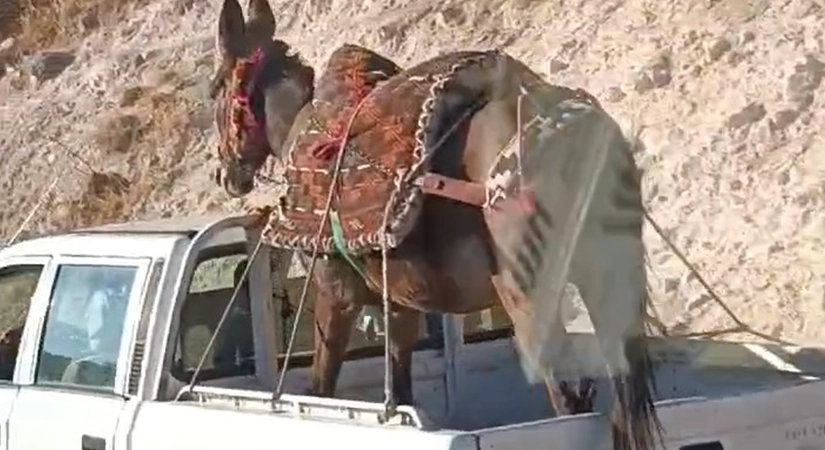 Siirt'in Eruh ilçesinde, hafif