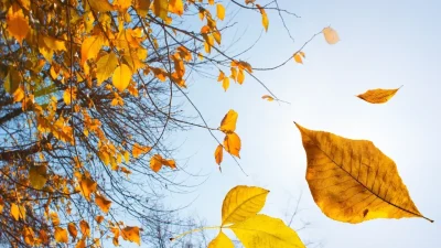 Eylül ayının girişinin ardından, Siirt'te havalar akşamları belirgin bir şekilde