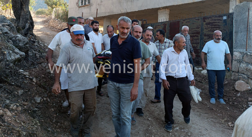 Siirt’te fıstık ağacından düşen