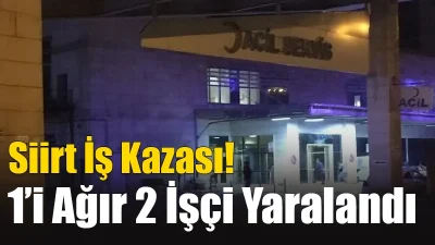 Siirt - Kurtalan yolunda meydana gelen iş kazasında biri ağır