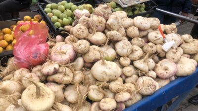Siirt, Şırnak ve Mardin illerinde tarımı yapılan beyaz pancar, halk