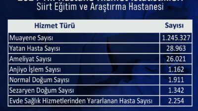 Siirt Eğitim ve Araştırma Hastanesi, 2024 yılına ait sağlık hizmetleri