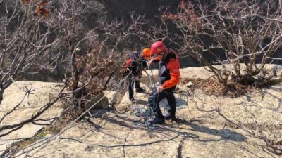 Siirt’te uçuruma düşen 3 keçi 4 gün sonra AFAD ekipleri