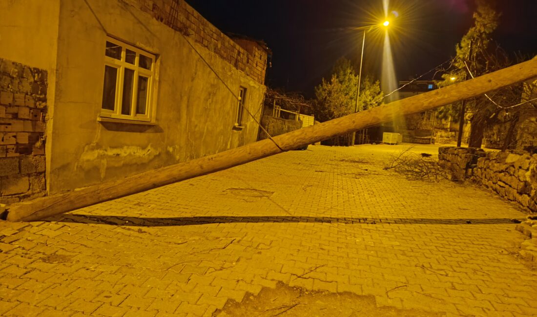 Siirt il merkezinde devrilen bir direk hem trafiği aksatıyor hem