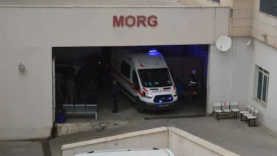 Siirt’te meydana gelen trafik kazasında bir kişi hayatını kaybetti. Edinilen