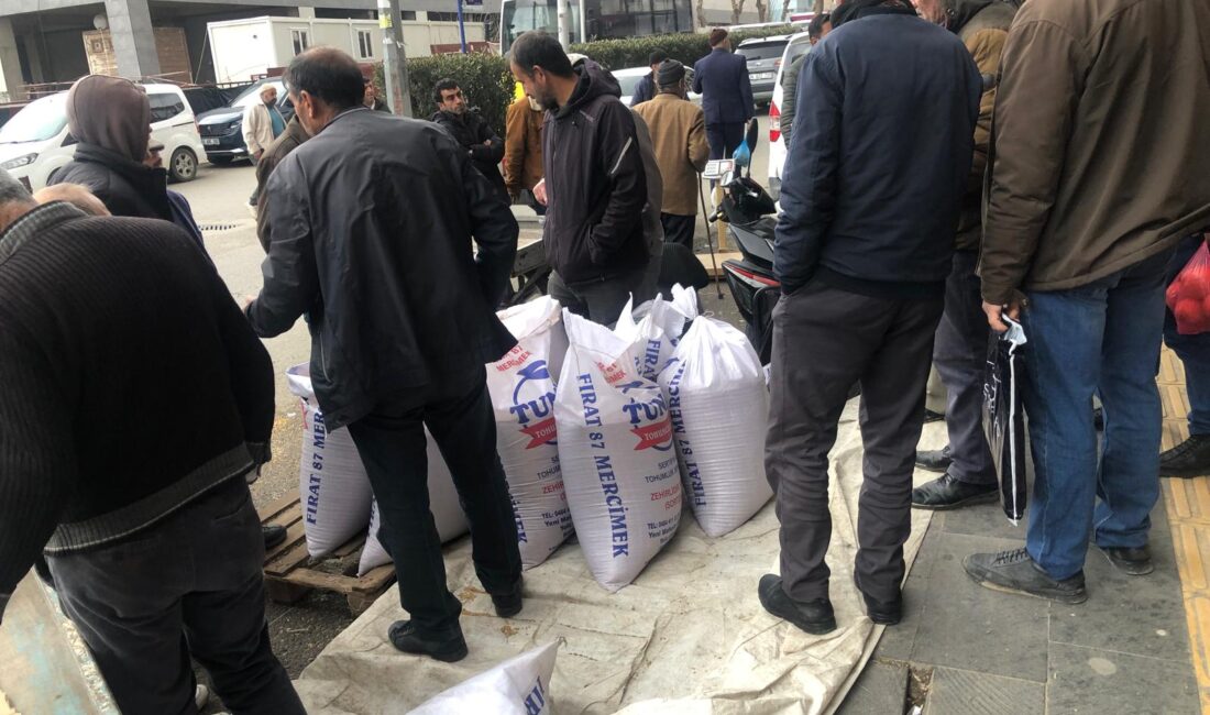 Siirt’te Fitrelik Buğday Kaldırımlardaki Yerini Aldı Ramazan Bayramına sayılı günler kala vatandaşlar fitrelerini çıkarma telaşı içerisindeler.