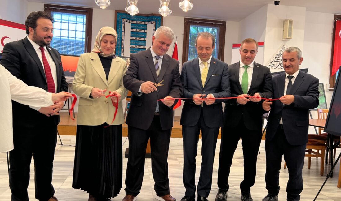Japonya’da Siirt Rüzgarı! Japonya’nın başkenti Tokyo da Siirt il merkezi ve Tillo'da çekilmiş