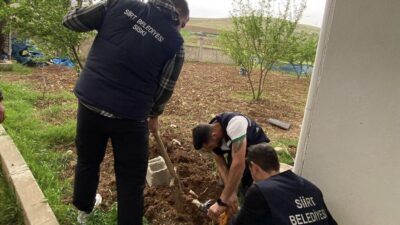 Siirt Belediyesi, içme suyunun usulsüz kullanımını tespit ederek su kaynaklarının