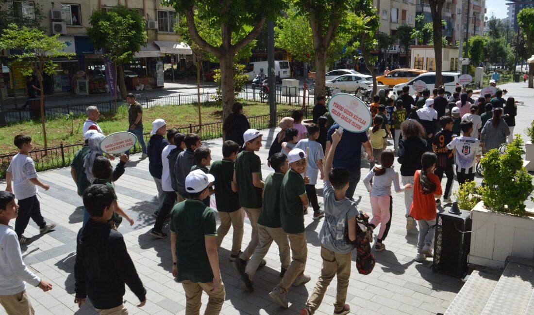 Sağlık Müdürlüğü ve HES İşbirliği Yaptı Siirt’te, 10 Mayıs “Dünya