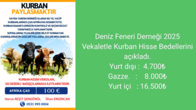 Yaklaşan bayramla birlikte vatandaşlar kurban arayışına girdi.
