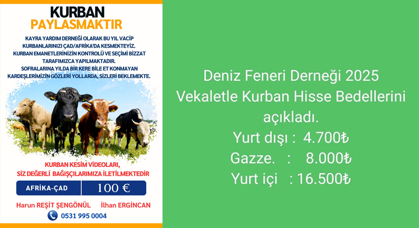 Yaklaşan bayramla birlikte vatandaşlar kurban arayışına girdi.
