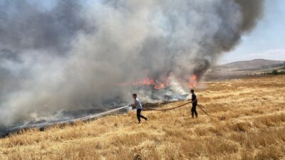 Siirt Valiliği Anız Yangınları İçin Uyardı: Ağır Yaptırımlar Var! Siirt Valiliği, yaz aylarının yaklaşmasıyla birlikte tarım arazilerinde sıkça karşılaşılan