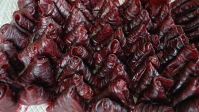 Siirt'in Eruh ilçesinde faaliyet gösteren Levendi Kadın Kooperatifi ürün çeşidini