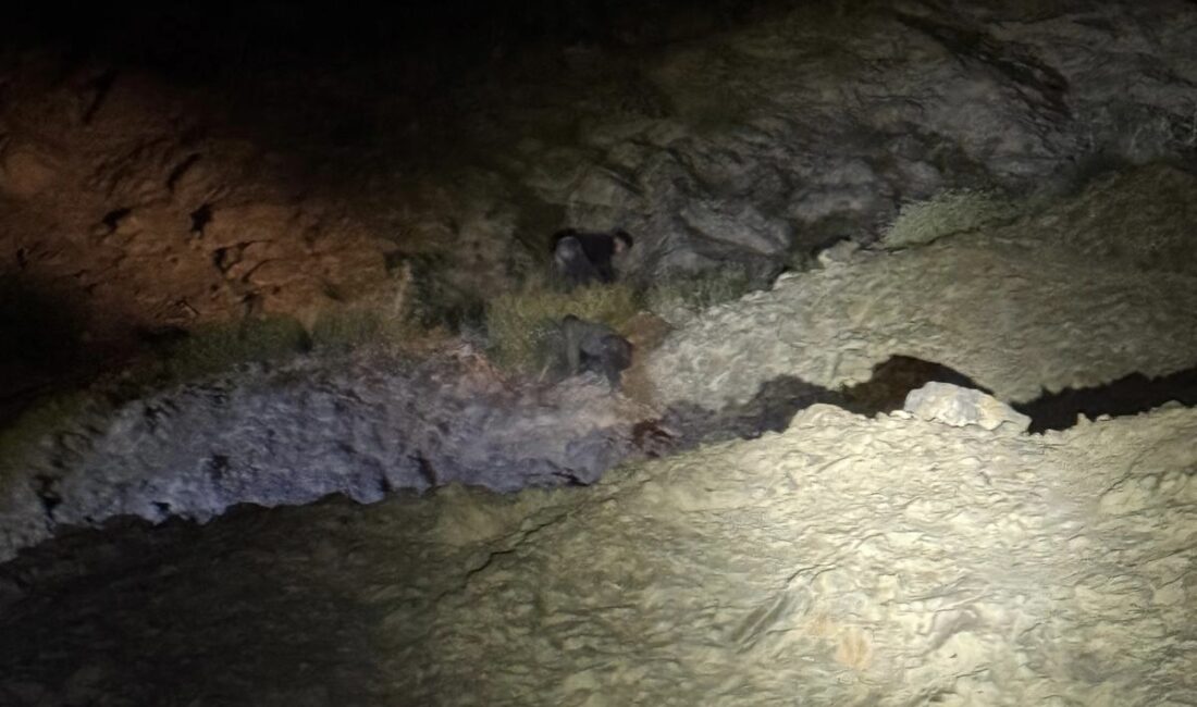 Siirt’in Pervari ilçesinde, Çobanören Köyü ile ilçe merkezi arasında kayalıklar