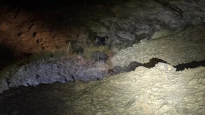 Siirt’in Pervari ilçesinde, Çobanören Köyü ile ilçe merkezi arasında kayalıklar