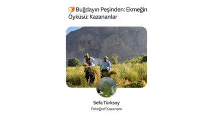 Pexels Türkiye tarafından düzenlenen “Buğdayın Peşinden: Ekmeğin Öyküsü” adlı fotoğraf