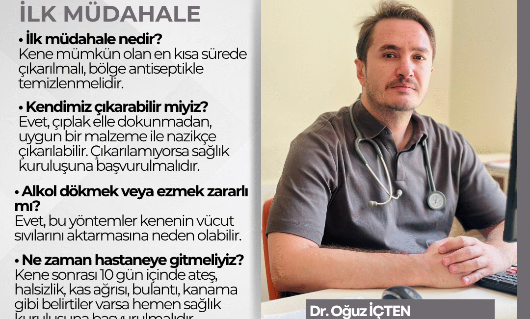 Yaz mevsimiyle birlikte kene vakalarında artış yaşanırken, uzmanlar doğru müdahalenin