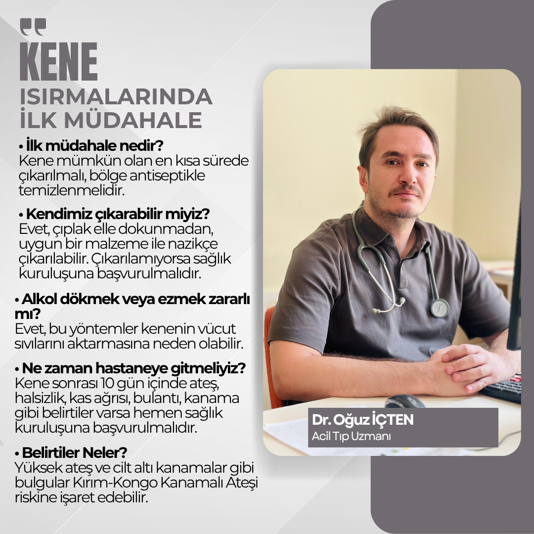 Yaz mevsimiyle birlikte kene vakalarında artış yaşanırken, uzmanlar doğru müdahalenin