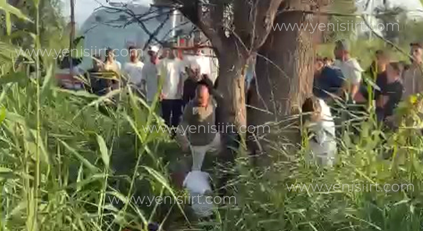Kayıp Olan Siirtli Kardeşler, 100 Kişilik Ekip Tarafından Ağır Yaralı Halde Bulundu Manisa’nın Turgutlu ilçesinden kurban kesimi için Saruhanlı’nın Mütevelli Mahallesi’ne giden