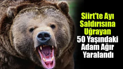 Siirt’in Eruh ilçesine bağlı Okçular Köyü kırsalında meydana gelen ayı