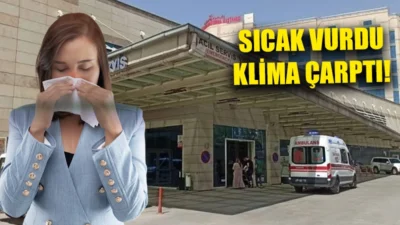 Türkiye genelini etkisi altına alan aşırı sıcaklar, Siirt’te rekor düzeylere