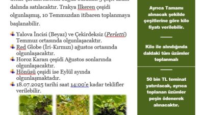 Siirt Üniversitesinde Bıldırcın Satışına Başlandı.Yaban Hayvanları Koruma, Rehabilitasyon Uygulama ve