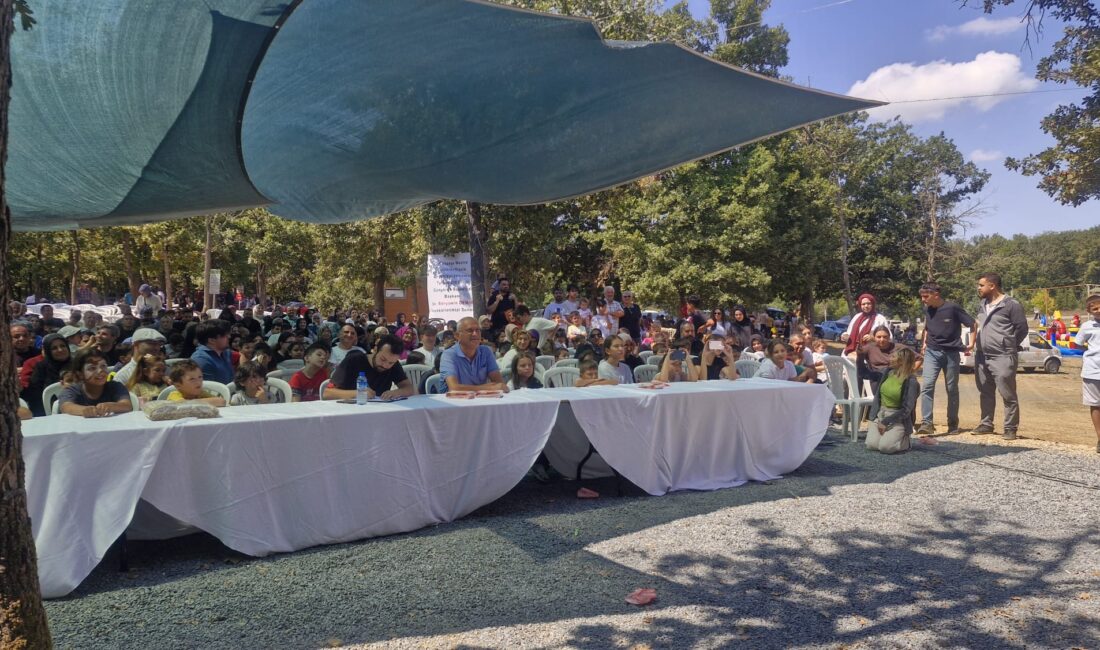 İstanbul Kemerbugaz Güngören Belediyesi piknik alanında bir araya gelen Tillolu