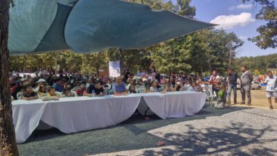 İstanbul Kemerbugaz Güngören Belediyesi piknik alanında bir araya gelen Tillolu