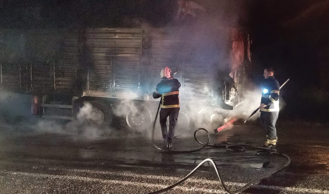 Siirt’te Buğday Yüklü Tır Alev Alev Yandı! Büyük Çapta Maddi Hasar Var Siirt-Veysel Karani kara yolu üzerinde seyir halindeyken, henüz belirlenemeyen bir