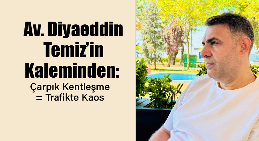 Geçtiğimiz günlerde değerli bir dostum aradı. “Diyaeddin, yazılarını büyük bir