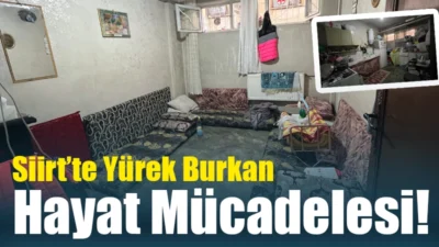 Siirt’te Yürek Burkan Hayat Mücadelesi! 5 Çocuklu Aile Kalorifer Dairesinde Zor Şartlarda Yaşıyor Siirt’te Yeni Mahalle Cengiz Topel Caddesi üzerinde, bir kalorifer dairesinde