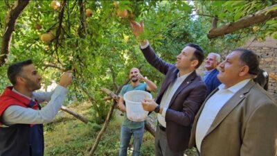 Siirt’in Meşhur Zivzik Narında Hasat Heyecanı Siirt’in meşhur Zivzik narı, Nar Suyu Köyü’nde düzenlenen coşkulu bir