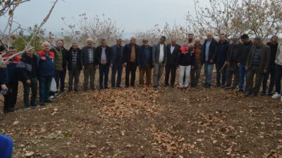 Siirt Tarım ve Orman İl Müdürlüğü, Siirt fıstığında verimliliği artırmak