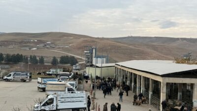 Siirt Belediyesi Veteriner İşleri Müdürlüğü tarafından yürütülen çalışmalar kapsamında, ‘Hayvan