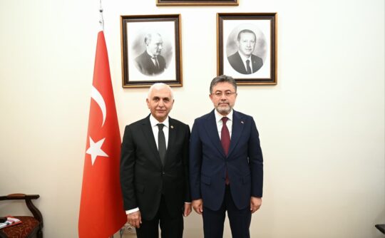 AK Parti Siirt Milletvekili Mervan Gül, Türkiye Büyük Millet Meclisi’nde