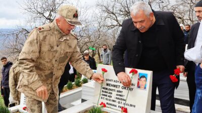 30 Mart 2018 tarihinde Siirt ili Merkez ilçesi Ormanardı Köyü