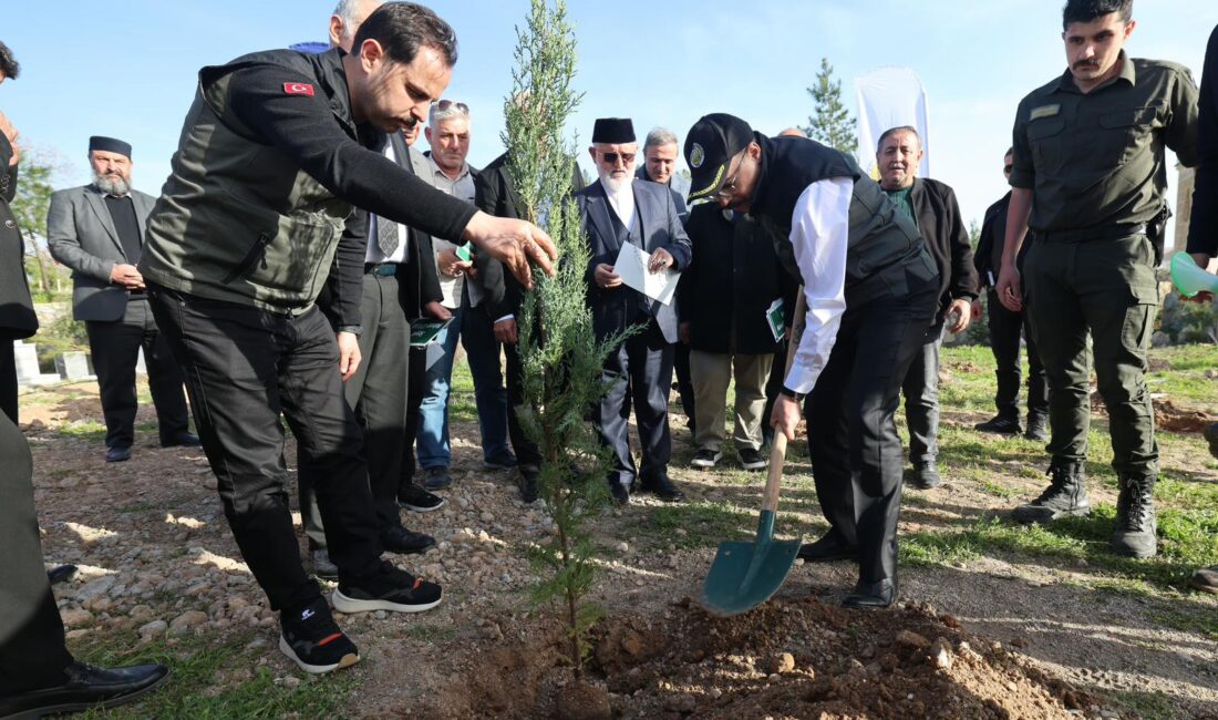 Vali Dr. Kızılkaya’nın Katılımıyla Teylan Köyü’nde 1000 Fidan Toprakla Buluştu Siirt’in Kurtalan ilçesine bağlı Teylan Köyü’nde düzenlenen fidan dikim töreninde
