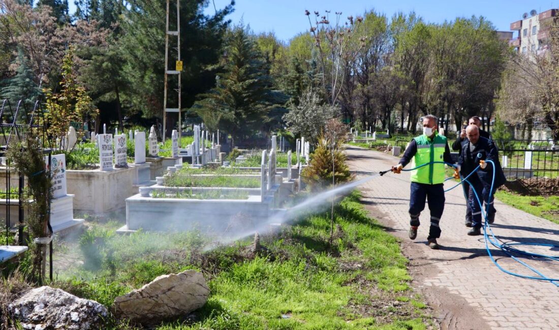 Siirt Belediyesi Park ve Bahçeler Müdürlüğü ekipleri, bahar aylarının gelmesiyle